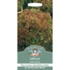 Mr. Fothergill's Lettuce Lollo Rossa Vegetable Seeds 1 Mr. Fothergill's Lettuce Lollo Rossa Vegetable Seeds -Elise Bloom 12820257 8864831945013100