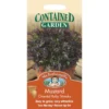 Mr. Fothergill's Mustard Oriental Ruby Streaks Vegetable Seeds 2 Mr. Fothergill's Mustard Oriental Ruby Streaks Vegetable Seeds -Elise Bloom 12820378 1874831950291171