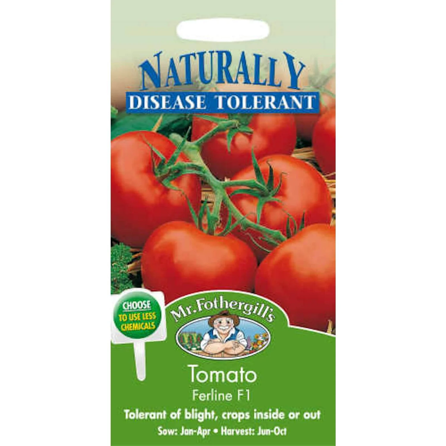 Tomato Ferline F1 Fruit Seeds 3 Tomato Ferline F1 Fruit Seeds
