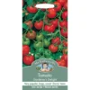 Mr. Fothergill's Tomato Gardeners Delight Fruit Seeds -Elise Bloom 12820489 1094831956777882
