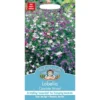 Mr. Fothergill's Lobelia Cascade Mixed (Lobelia Erinus) Seeds -Elise Bloom 12820596 1004831918822572