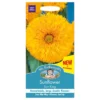 Mr. Fothergill's Sunflower Sun King Improved Seeds -Elise Bloom 12822057 6884831967682150