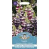 Mr. Fothergill's Lupin Avalune Bicolour Mix -Elise Bloom 12822058 6004831967950311