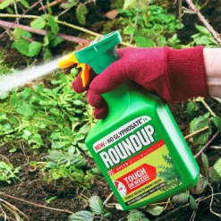 Roundup Speed Ultra Ready To Use Weedkiller - 1L -Elise Bloom 12822374 1954832980545051