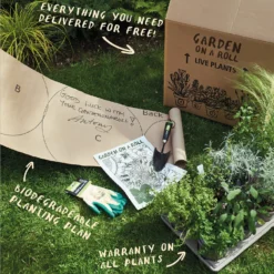 Evergreen Border 4m X 40cm -Elise Bloom 12823314 7935027649683925