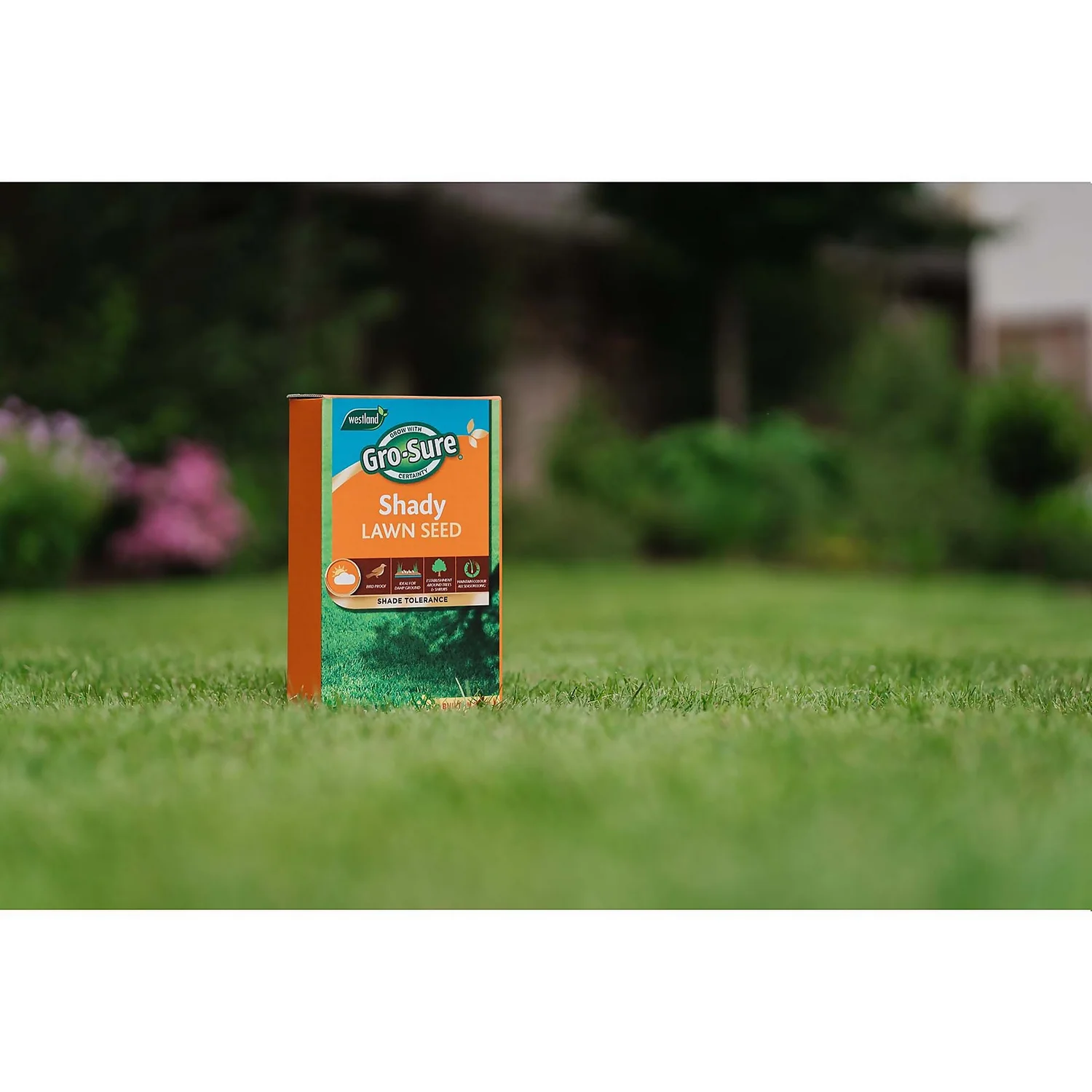 Gro-Sure Shady Lawn Seed - 10m² 4 Gro-Sure Shady Lawn Seed - 10m² - Image 2