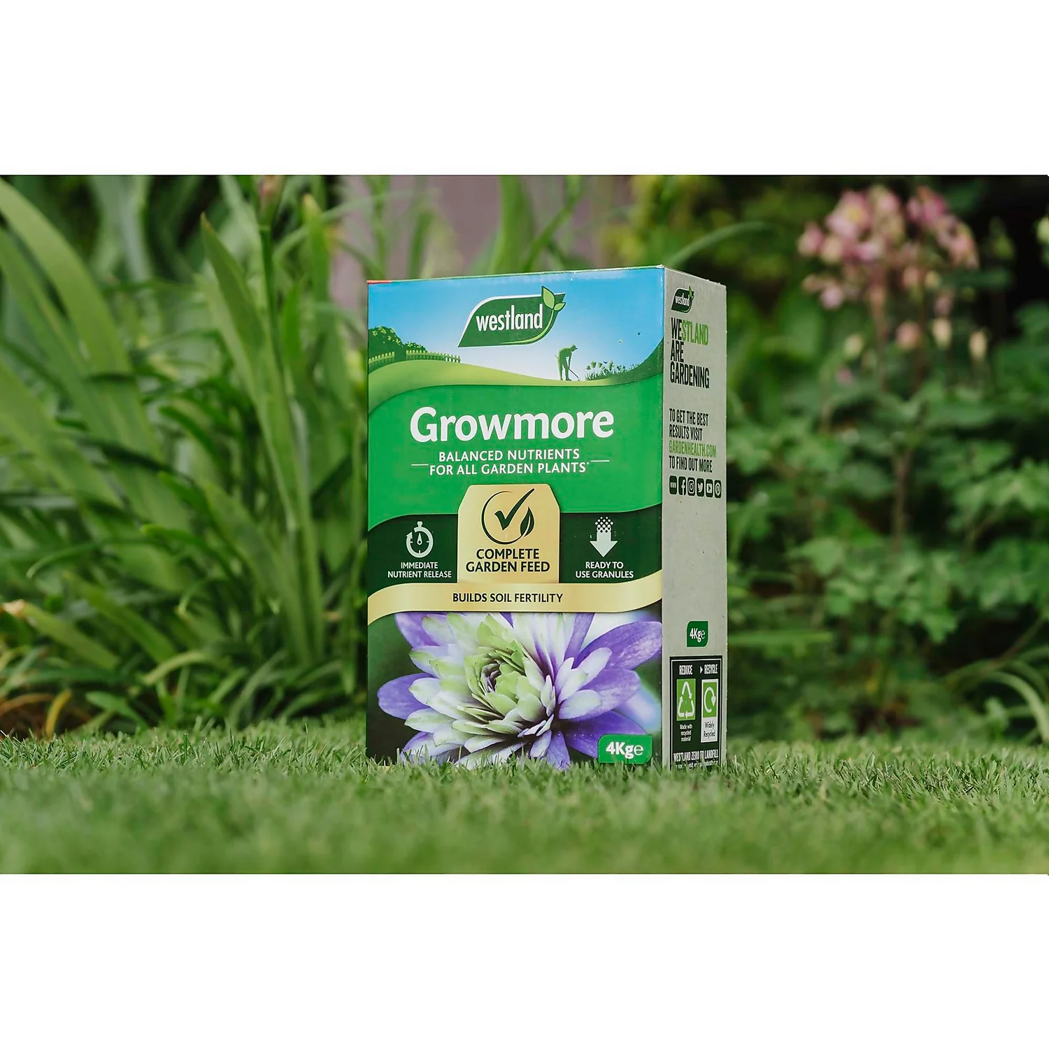 Westland Growmore Balanced Garden Fertiliser For All Plants - 4kg 4 Westland Growmore Balanced Garden Fertiliser For All Plants - 4kg - Image 2