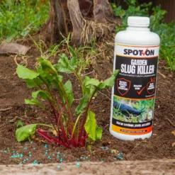 Spot On Slug & Snail Killer - 600g 7 Spot On Slug & Snail Killer - 600g -Elise Bloom 12824800 1044975168608672