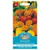 Mr. Fothergill's French Marigold Dwarf Double Mixed Seeds 2 Mr. Fothergill's French Marigold Dwarf Double Mixed Seeds -Elise Bloom 12824880 1514831948901385