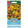 Mr. Fothergill's French Marigold Boy-O-Boy Mixed Seeds -Elise Bloom 12825148 1144831962441372