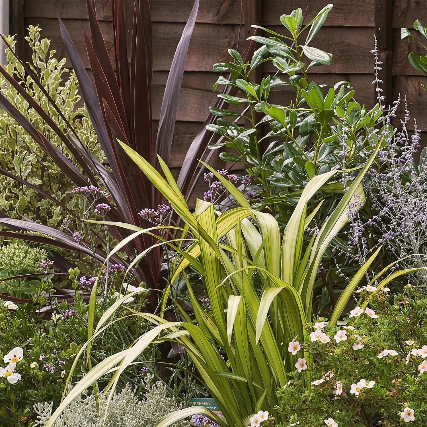 Mediterranean Border 8m X 120cm 7 Mediterranean Border 8m X 120cm - Image 5