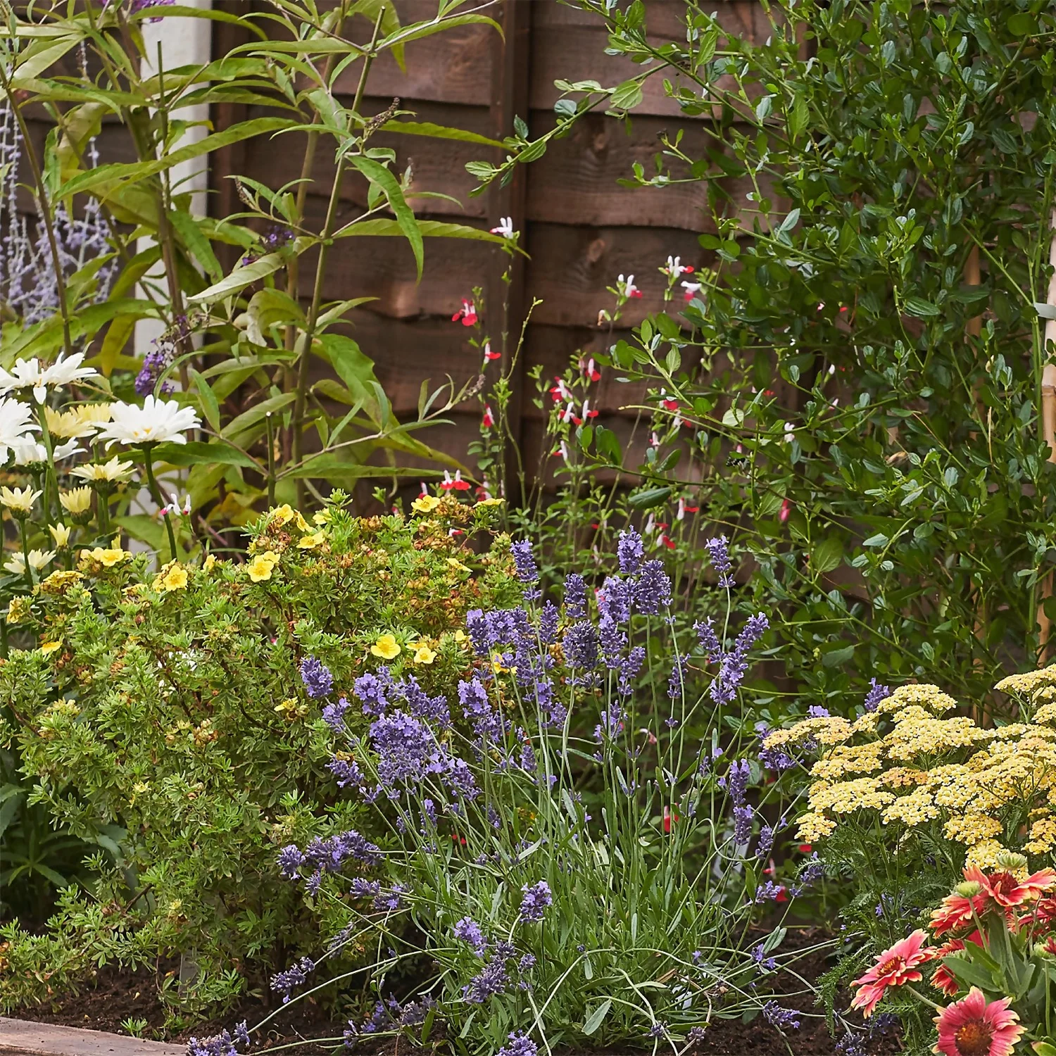 Bee And Butterfly Border 7m X 120cm 7 Bee And Butterfly Border 7m X 120cm - Image 5