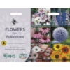 RHS Flowers For Pollinators Collection -Elise Bloom 12827733 4174831918148376