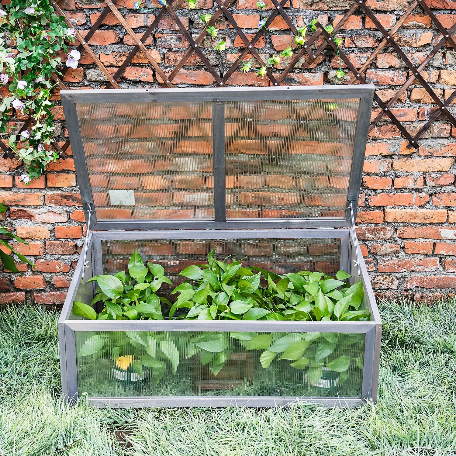 Wooden Cold Frame 5 Wooden Cold Frame - Image 3