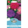 Mr. Fothergill's Aster Ostrich Feather Seeds 1 Mr. Fothergill's Aster Ostrich Feather Seeds -Elise Bloom 12829000 1024831589670123
