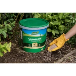 Westland Growmore Plant Food - 10kg -Elise Bloom 12829902 7774971590491911
