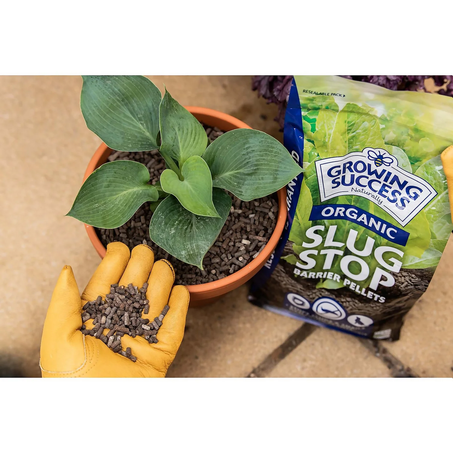 Growing Success Slug Stop Non-Toxic Granules - 2.25kg 4 Growing Success Slug Stop Non-Toxic Granules - 2.25kg - Image 2