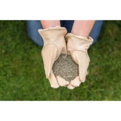 Gro-sure Finest Lawn Seed 100m² 9 Gro-sure Finest Lawn Seed 100m² -Elise Bloom 12833194 1104925482201344