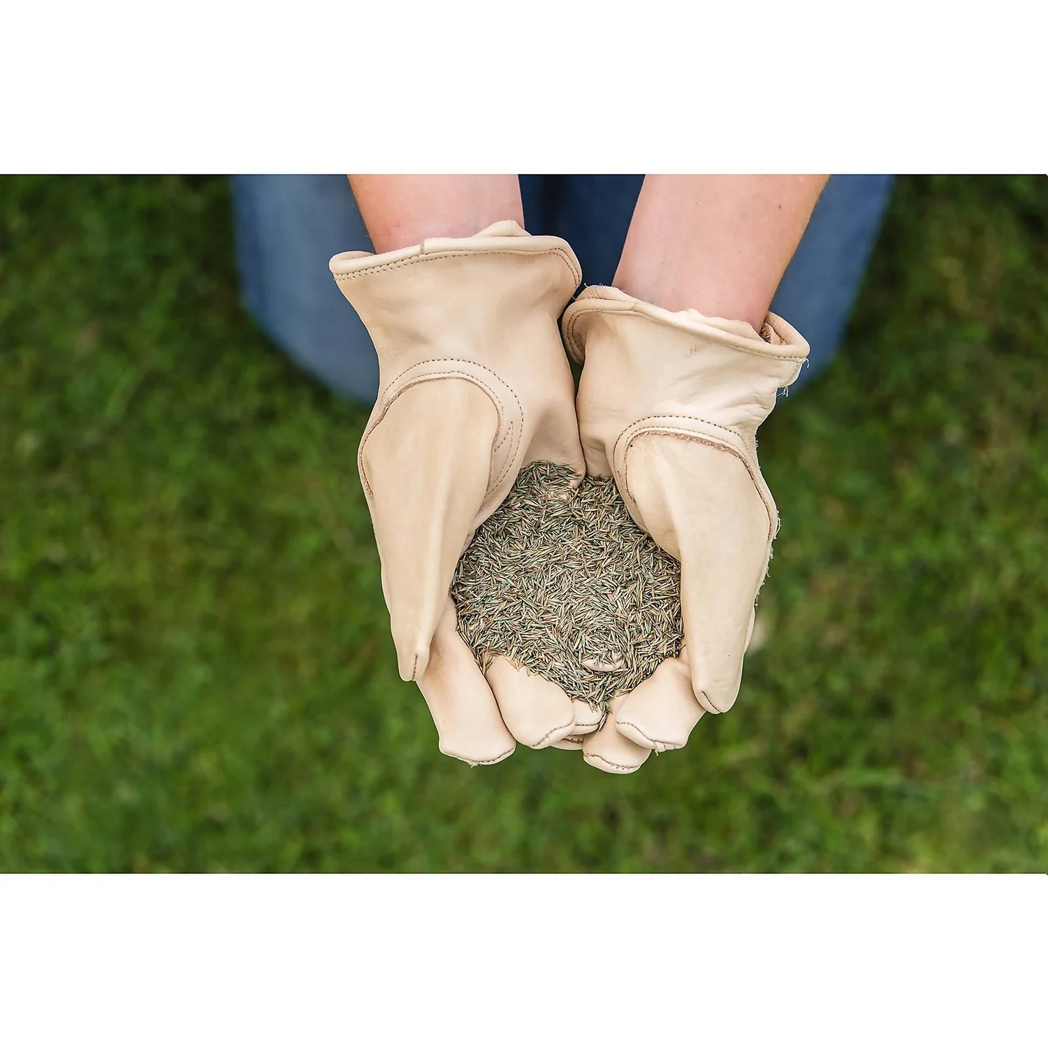 Gro-sure Finest Lawn Seed 100m² 6 Gro-sure Finest Lawn Seed 100m² - Image 4