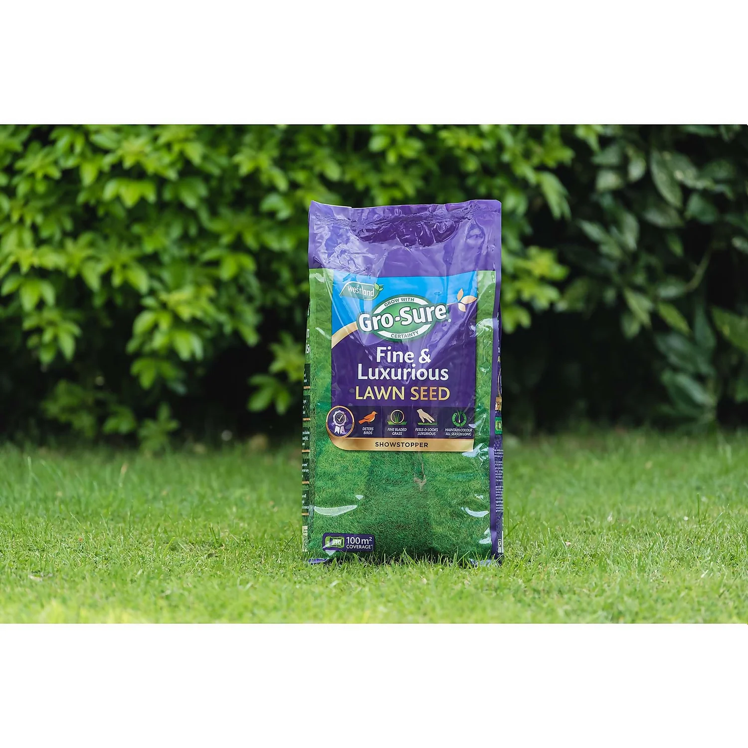 Gro-sure Finest Lawn Seed 100m² 4 Gro-sure Finest Lawn Seed 100m² - Image 2