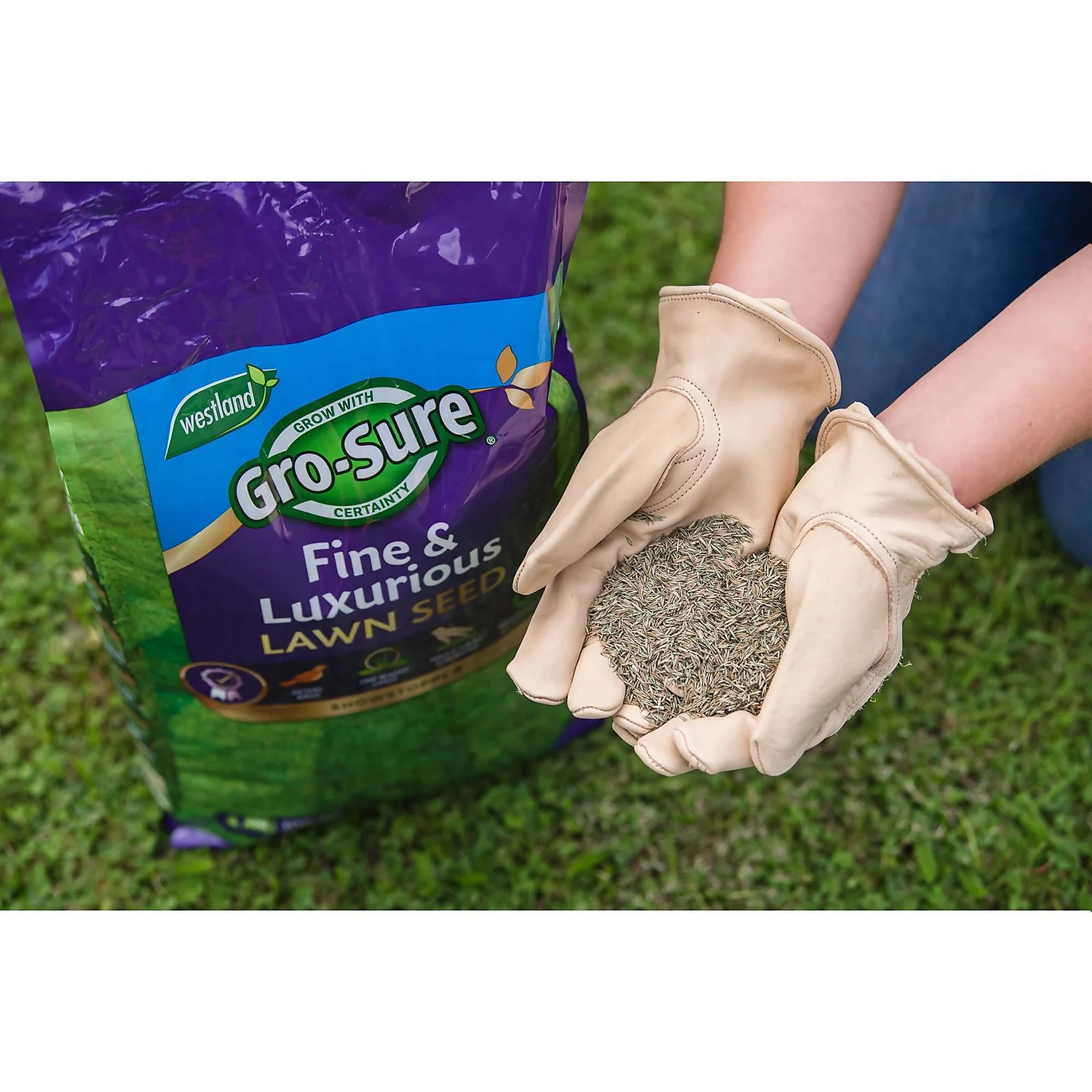 Gro-sure Finest Lawn Seed 100m² 5 Gro-sure Finest Lawn Seed 100m² - Image 3