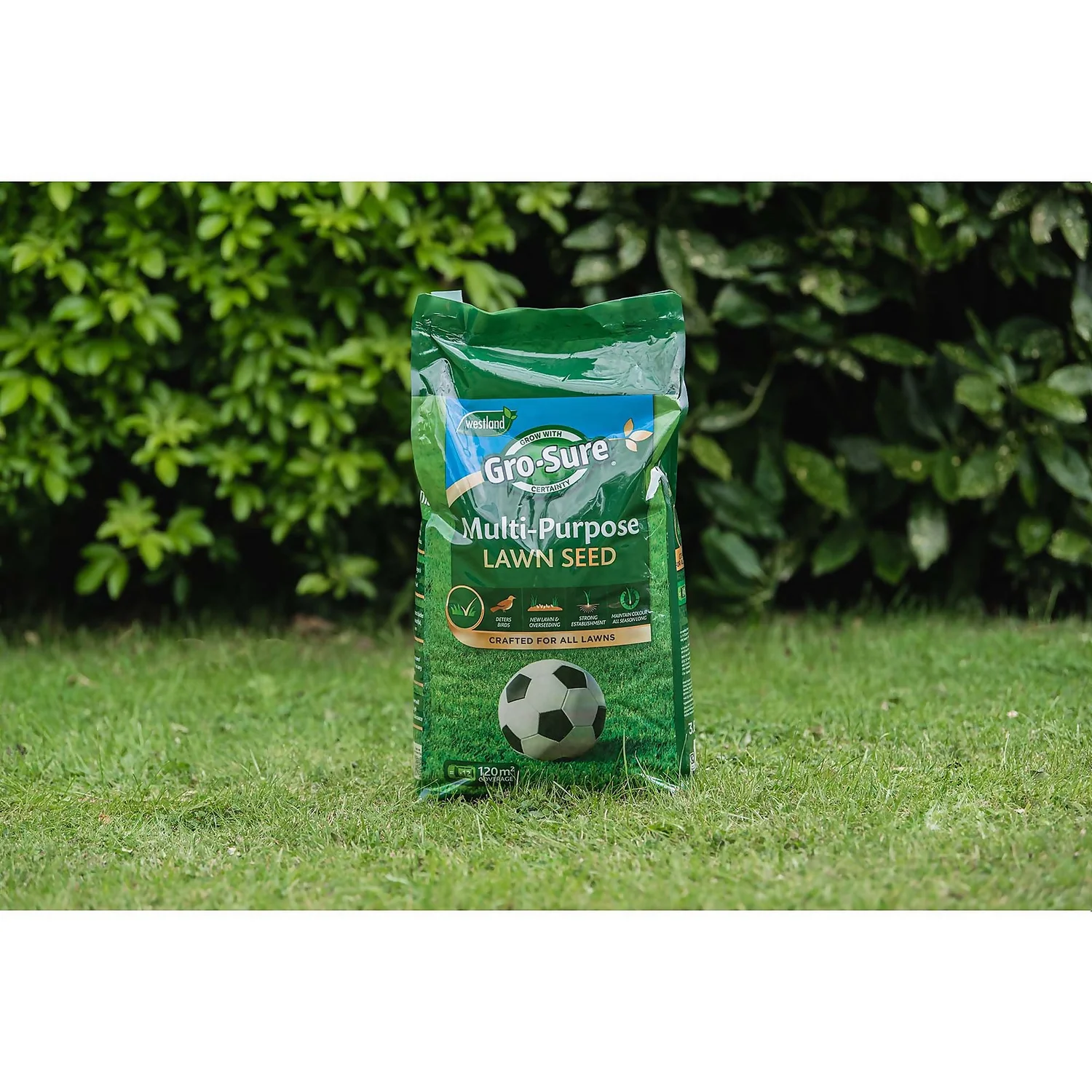Gro-Sure Multi-Purpose Lawn Seed 375m² 4 Gro-Sure Multi-Purpose Lawn Seed 375m² - Image 2