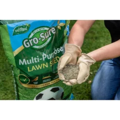 Gro-Sure Multi-Purpose Lawn Seed 375m² 7 Gro-Sure Multi-Purpose Lawn Seed 375m² -Elise Bloom 12833526 1414925482132785