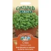 Mr. Fothergill's Cress American Land (Barbarea Verna) Seeds 1 Mr. Fothergill's Cress American Land (Barbarea Verna) Seeds -Elise Bloom 12834064 1744831590243507