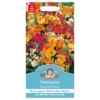 Mr. Fothergill's Nemesia Carnival Mixed Seeds -Elise Bloom 12834428 4934831960949961