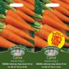Mr. Fothergill's Carrot Autumn King -Elise Bloom 12834646 1374831942097877
