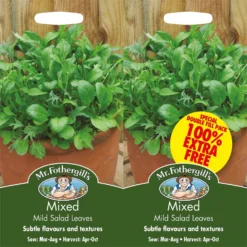 Mr. Fothergill's Mixed Mild Salad Leaves