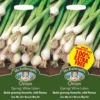 Mr. Fothergill's Onion (Spring) White Lisbon