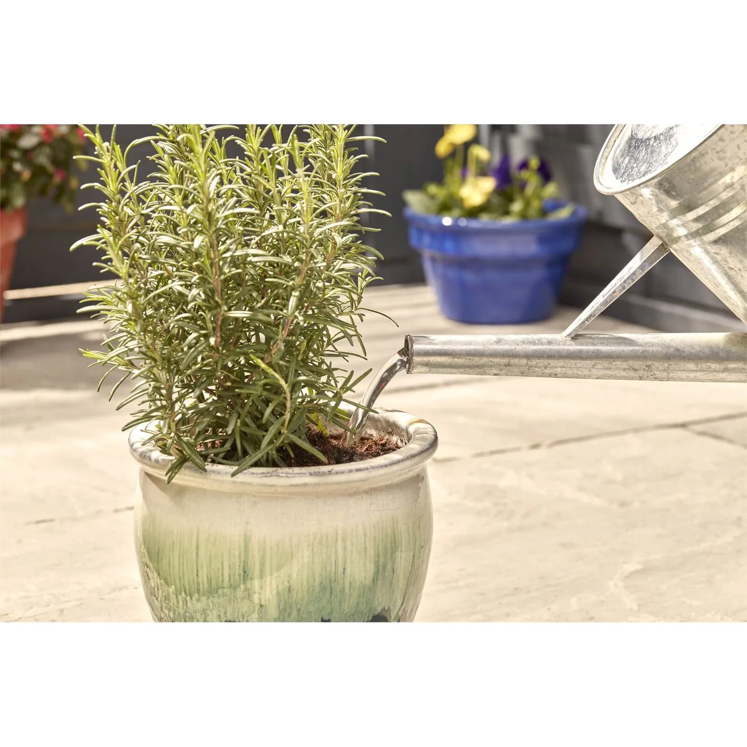 Miracle-Gro Pump & Feed All Purpose Plant Food - 200ml 7 Miracle-Gro Pump & Feed All Purpose Plant Food - 200ml - Image 5