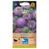 Mr. Fothergill's Scabious Blue Cushion Seeds -Elise Bloom 12837720 4294831885378671