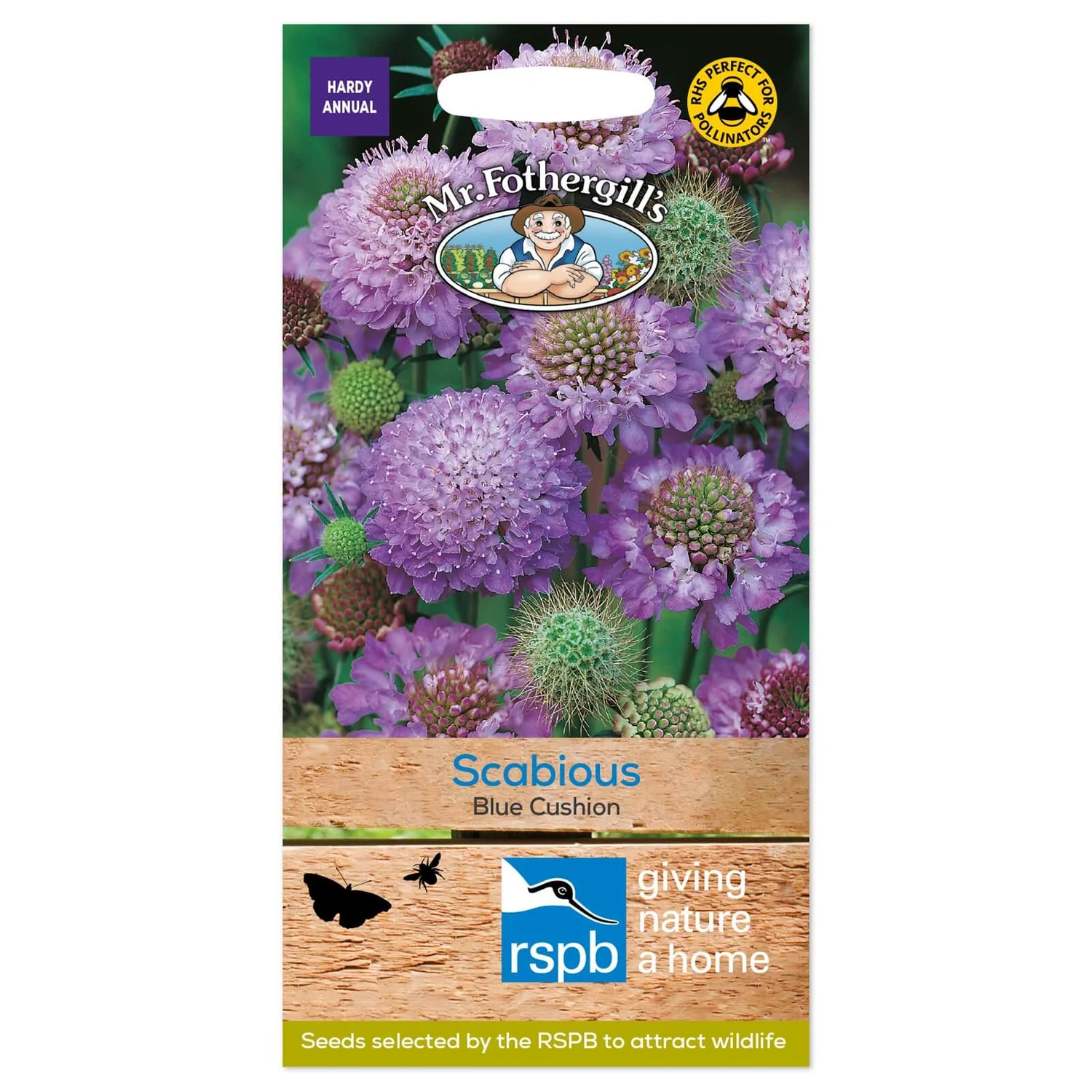 Mr. Fothergill's Scabious Blue Cushion Seeds 3 Mr. Fothergill's Scabious Blue Cushion Seeds