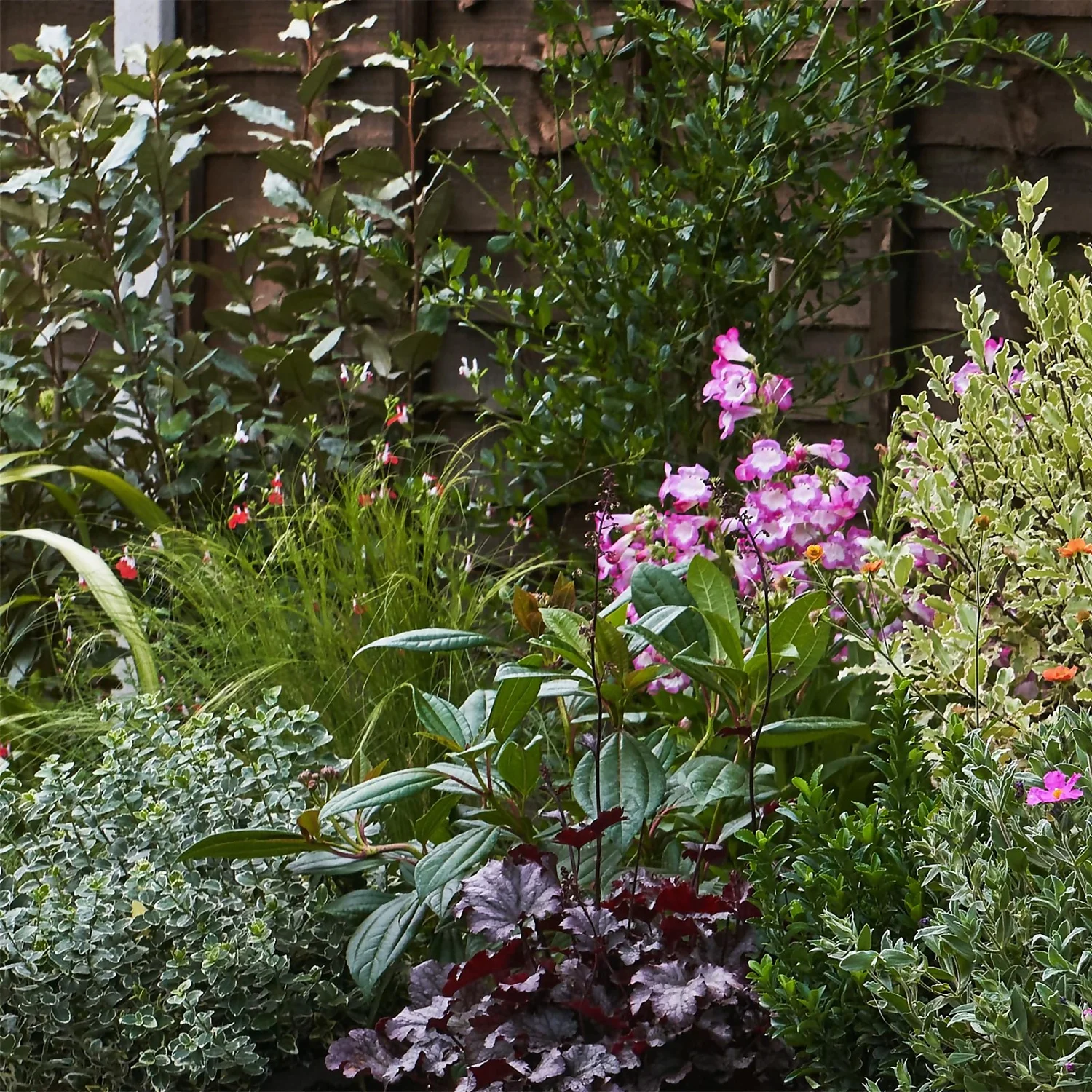 Garden On A Roll Eco Border - 6m X 40cm 6 Garden On A Roll Eco Border - 6m X 40cm - Image 4