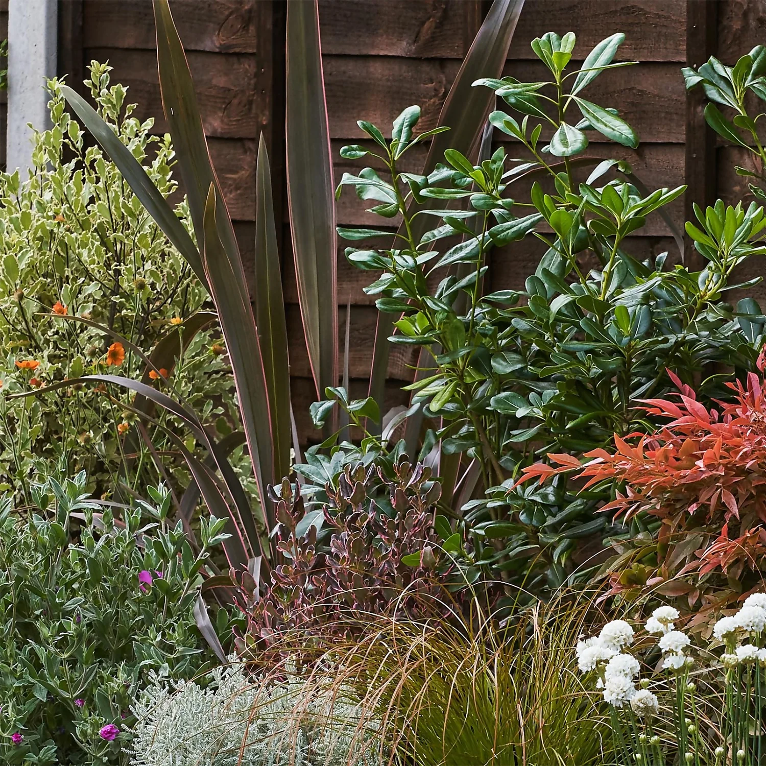 Garden On A Roll Eco Border - 2m X 60cm 7 Garden On A Roll Eco Border - 2m X 60cm - Image 5