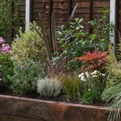 Garden On A Roll Eco Border - 9m X 120cm