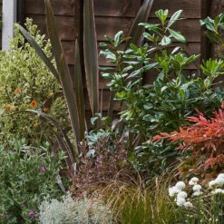 Garden On A Roll Eco Border - 10m X 120cm 13 Garden On A Roll Eco Border - 10m X 120cm -Elise Bloom 12838167 9445027900225562