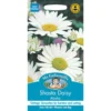Mr. Fothergill's Shasta Daisy Alaska (Leucanthemum X Superbum) Seeds 1 Mr. Fothergill's Shasta Daisy Alaska (Leucanthemum X Superbum) Seeds -Elise Bloom 12838310 1214831908670632