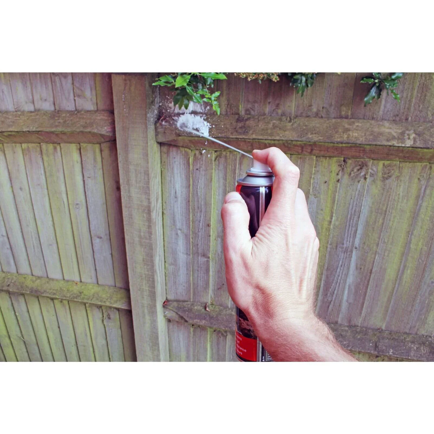 Rentokil Wasp Nest Destroyer - 300ml 5 Rentokil Wasp Nest Destroyer - 300ml - Image 3