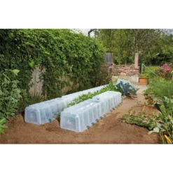 Garantia Sunny Growing Tunnel 7 Garantia Sunny Growing Tunnel -Elise Bloom 12840397 1014833226438671