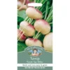 Mr. Fothergill's Turnip Purple Top Milan (Brassica Rapa Rapifera) Seeds -Elise Bloom 12841399 1814831952890431