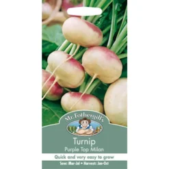 Mr. Fothergill's Turnip Purple Top Milan (Brassica Rapa Rapifera) Seeds