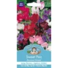 Mr. Fothergill's Sweet Pea Bouquet Mixed (Lathyrus Odoratus) Seeds -Elise Bloom 12842005 2224831907267457