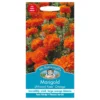 Mr. Fothergill's African Marigold Kees Orange Seeds -Elise Bloom 12842085 6954831947774069