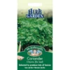 Mr. Fothergill's Coriander Cilantro (Coriandrum Sativum) Seeds 1 Mr. Fothergill's Coriander Cilantro (Coriandrum Sativum) Seeds -Elise Bloom 12844174 6614831917730197