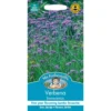 Mr. Fothergill's Verbena Bonariensis Seeds -Elise Bloom 12845002 4754831883478234