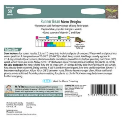 Mr. Fothergill's Runner Bean Stringless Polestar (Phaseolus Coccineus) Seeds -Elise Bloom 12845200 1054832975180895