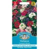Mr. Fothergill's Verbena Compact Mixed (Verbena X Hybrida) Seeds -Elise Bloom 12845201 1234831915750737